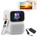 خرید ویدئو پروژکتور ونبو مدل t6 max